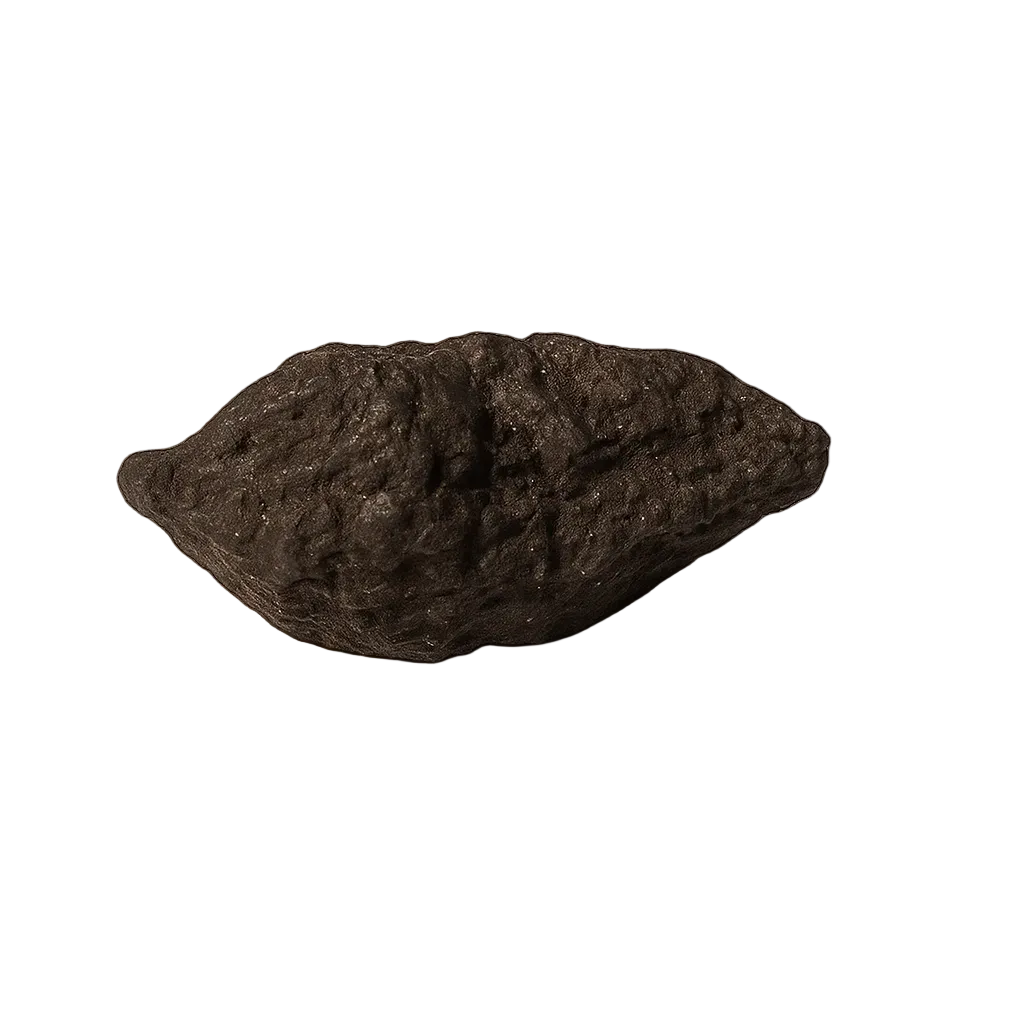 High john the Conqueror Root