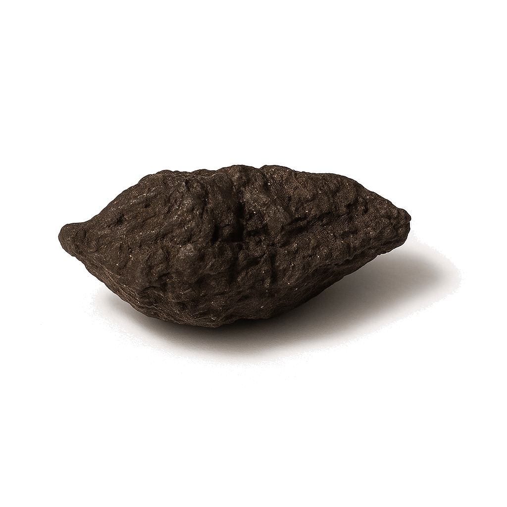 High john the Conqueror Root